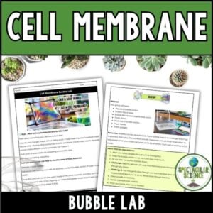 Cell Membrane Bubble Lab Cover 1