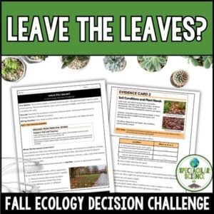 Leave the Leaves_ Activity Cover 1