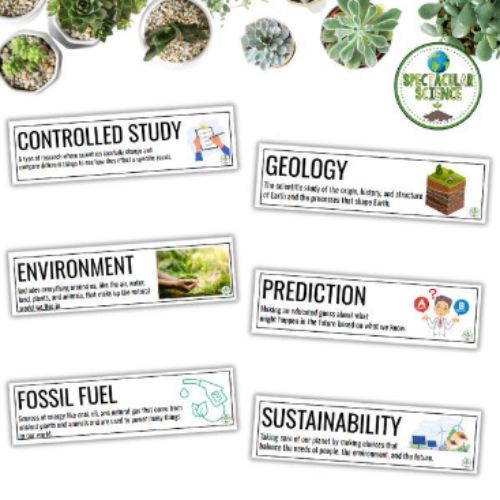 vocabulary cards